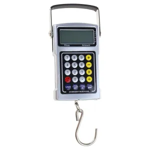 Portable Luggage Scale with Hook Weight Scale Clock Measruing Tape Thermometer Calculator 50kg/20g Compact Suitcase Weight Scale